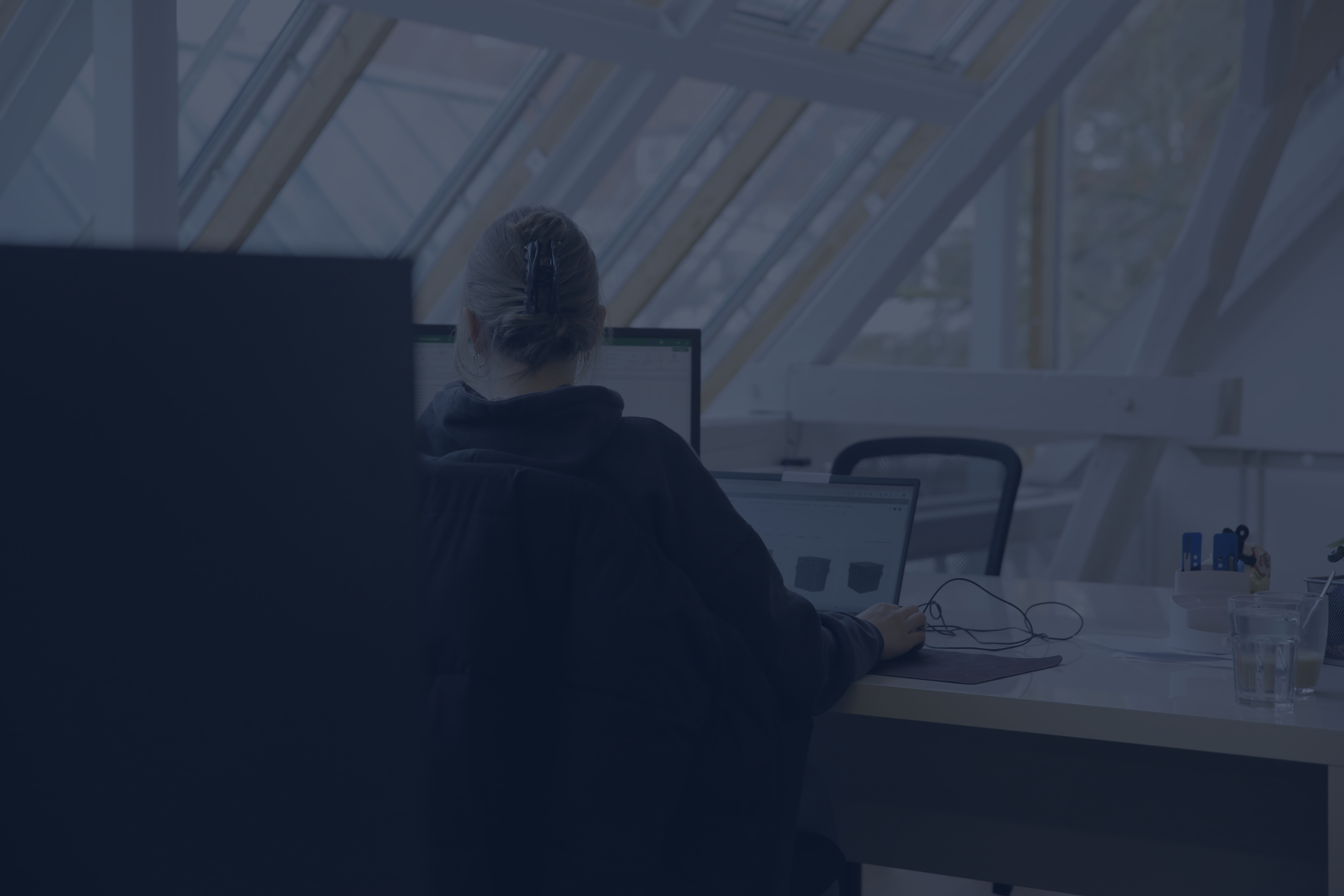 Person arbeitet an einem Laptop im Büro, von hinten aufgenommen, mit schrägen Dachfenstern im Hintergrund.