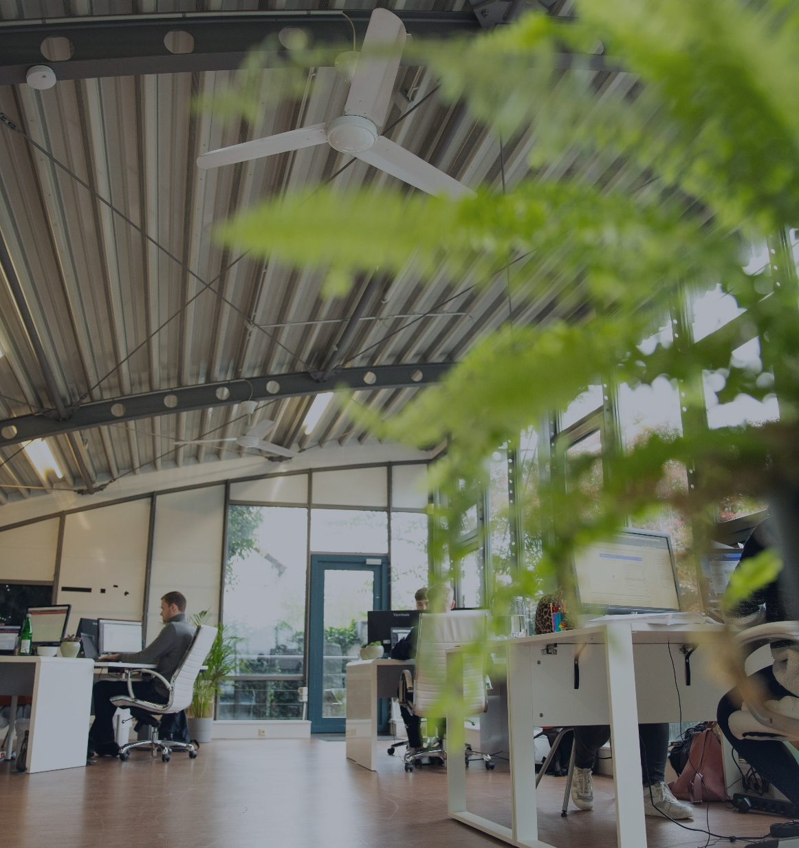 Mitarbeitende arbeiten an Computerarbeitsplätzen in einem offenen Büro mit hohen Decken, großen Fenstern und Pflanzen.