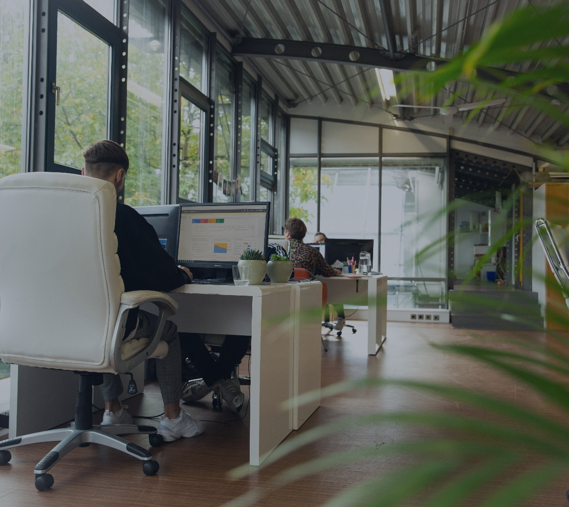 Mehrere Personen arbeiten an Computern in einem lichtdurchfluteten Büro mit großen Fenstern und Pflanzen.