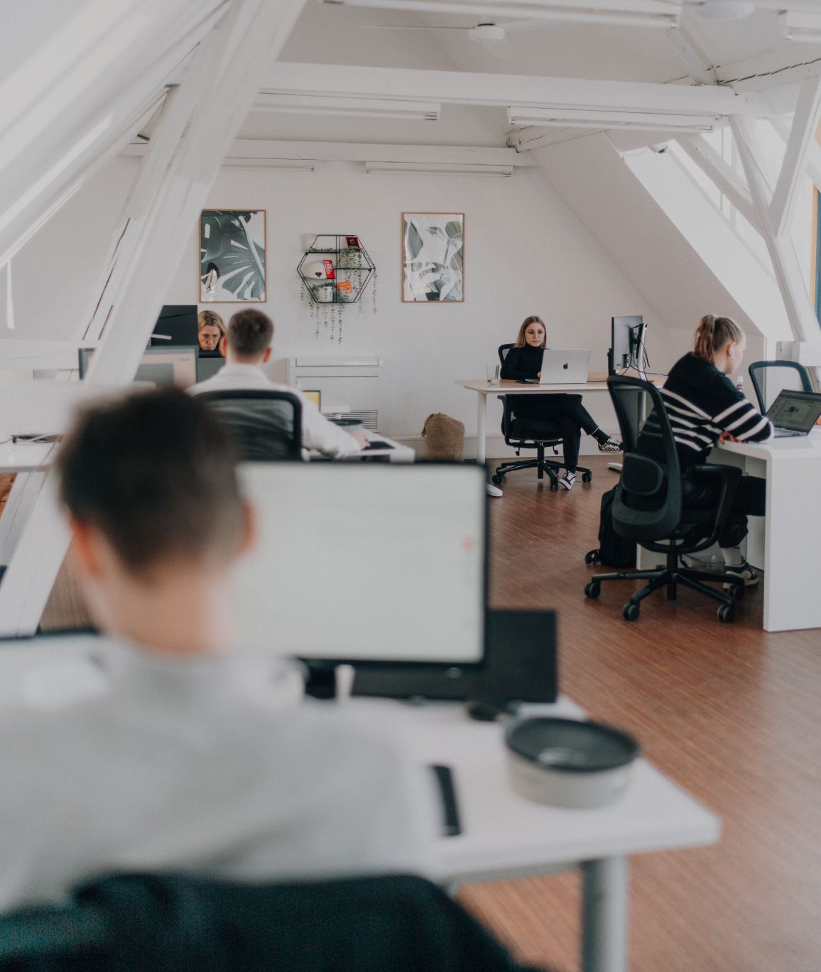 Mitarbeitende arbeiten an Computern in einem hellen, modernen Großraumbüro.