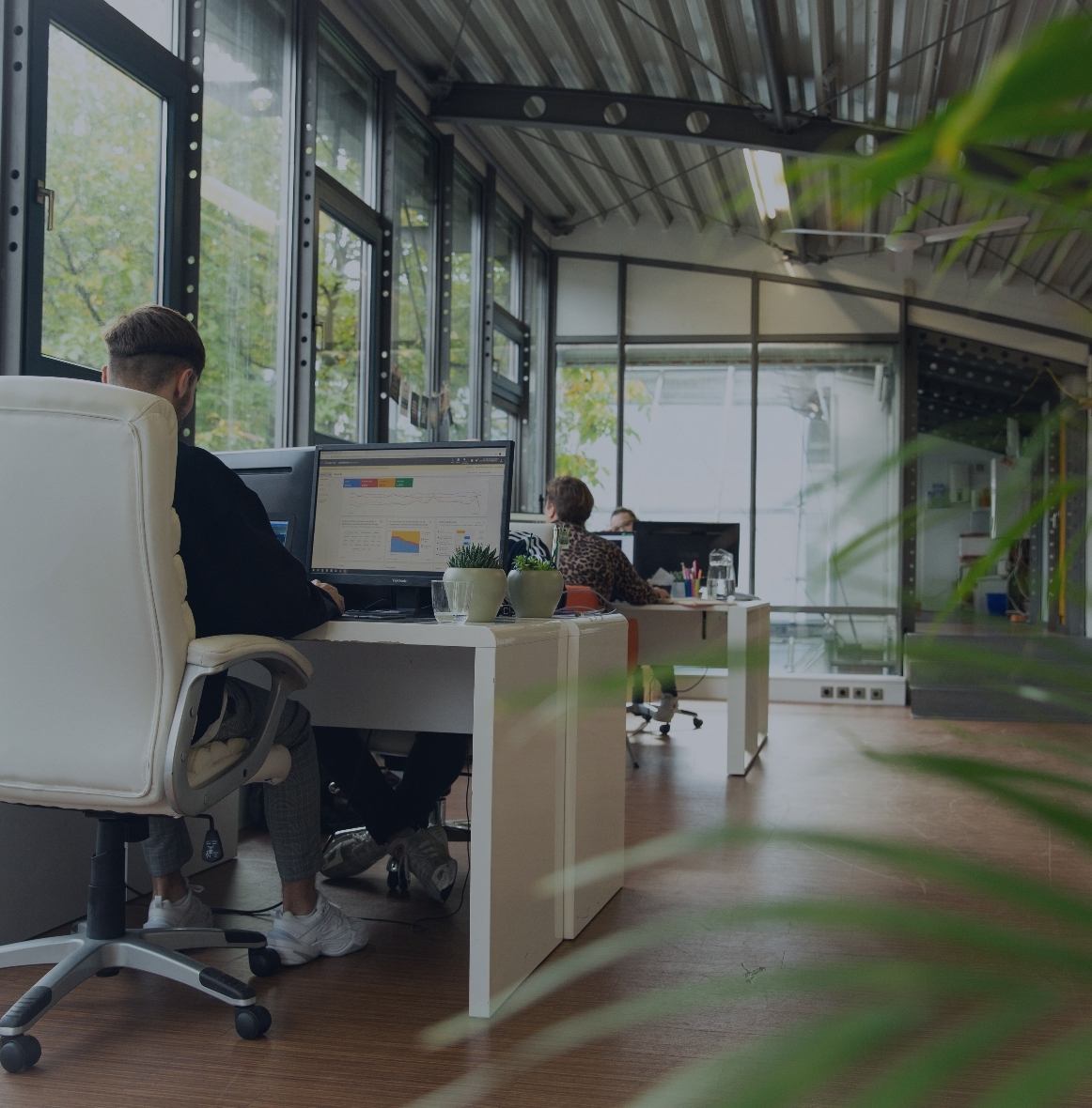 Mehrere Personen arbeiten an Computern in einem lichtdurchfluteten Büro mit großen Fenstern und Pflanzen.