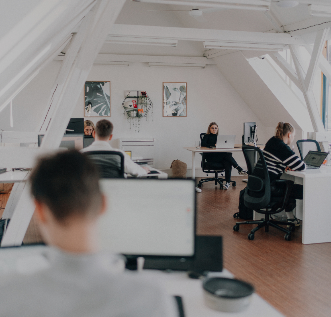 Mehrere Personen arbeiten konzentriert an ihren Schreibtischen in einem hellen, offenen Büro mit weißen Dachbalken und moderner Einrichtung