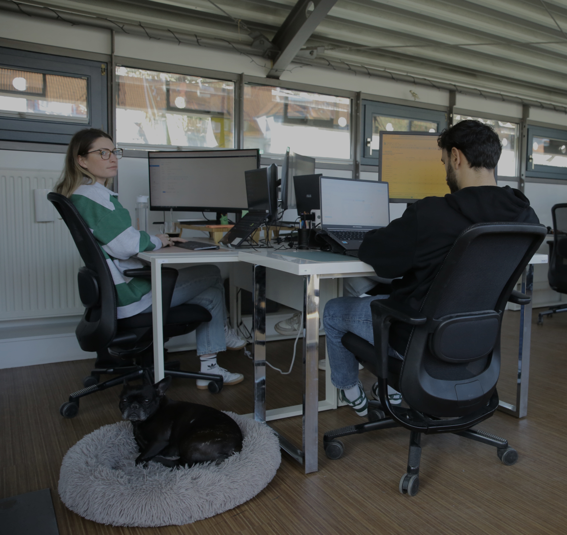Person arbeitet an einem Schreibtisch im Büro, während ein kleiner Hund in einem Körbchen unter dem Tisch liegt