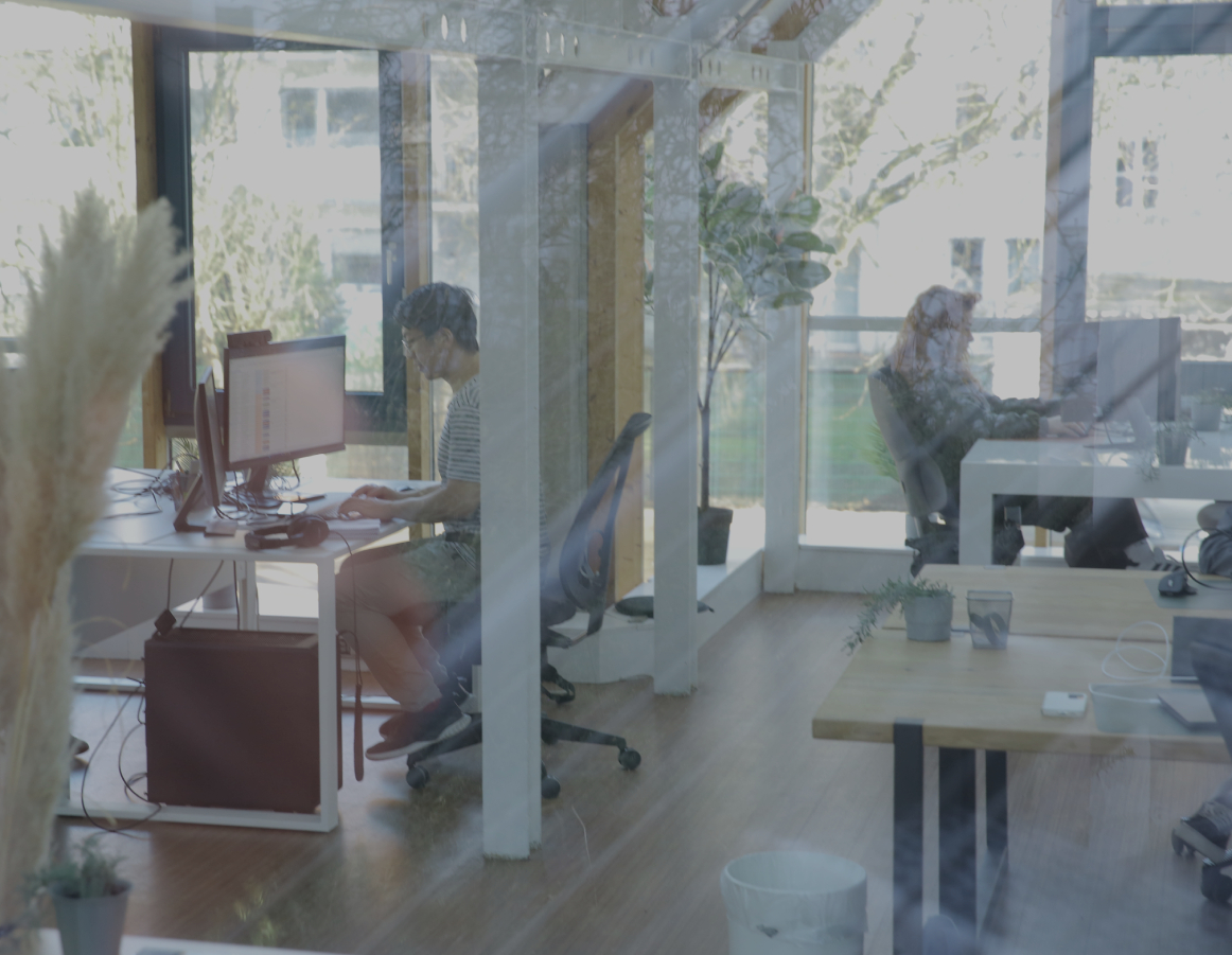 Person arbeitet konzentriert an einem Computer in einem hellen Büro, durch eine Glaswand mit Pflanzen im Vordergrund fotografiert