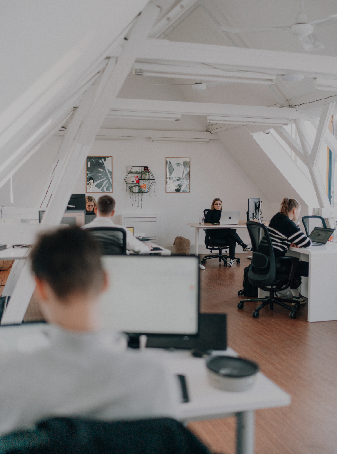 Mehrere Personen arbeiten konzentriert an ihren Schreibtischen in einem hellen, offenen Büro mit weißen Dachbalken und moderner Einrichtung